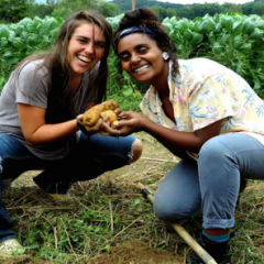 Image of a white student with light brown hair and a dark-skinned student with black hair crouching down in the dirt of Green Mountain College's Cerridwen Farm. They hold crops in their outstretched hands. Both are smiling and wearing T-shirts and blue jeans.