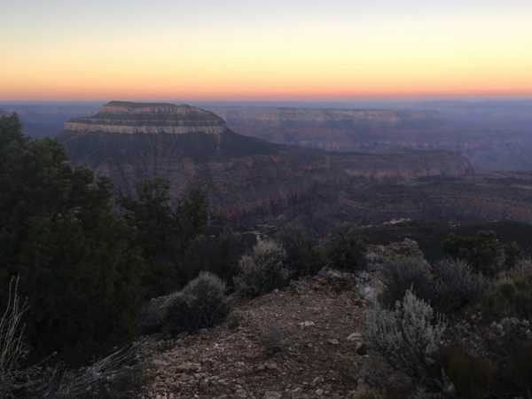 Image of the rock formations and shrubbery of the Grand Canyon, which appear dark colored in the photo due to it being pre-dawn. In the background, a yellow sunrise with a thin orange strip spreads across the sky. 