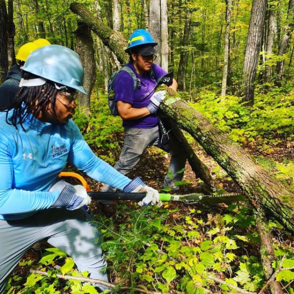 Northland college students participating in a forestry exercise.